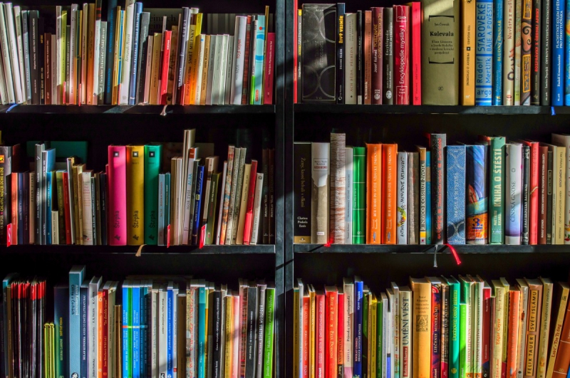vitrine-ST ETIENNE DE TINEE-min_books_bookstore_book_reading_shop_writer_sale_books_read-822866